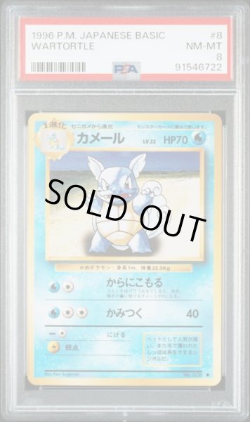画像1: [PSA8] カメール 1996 WARTORTLE #8 (1)