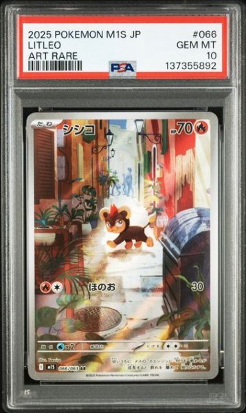 画像1: [PSA10] シシコ 2025 LITLEO ART RARE #066 (1)